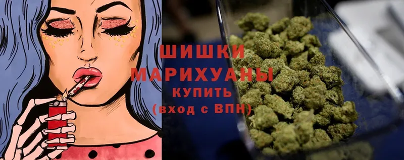 Шишки марихуана White Widow  магазин продажи   Будённовск 